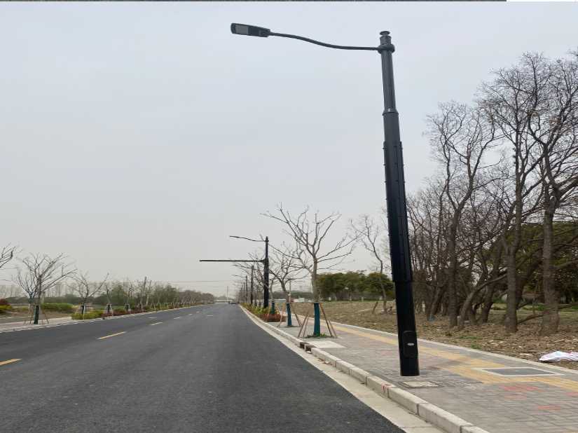 光泽县上海综合杆 太阳能路灯工程